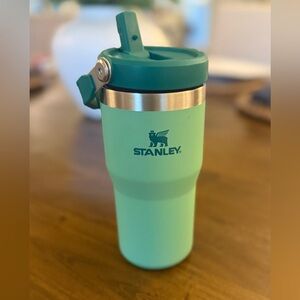 Stanley Mint Green IceFlow Flip Straw, 20oz